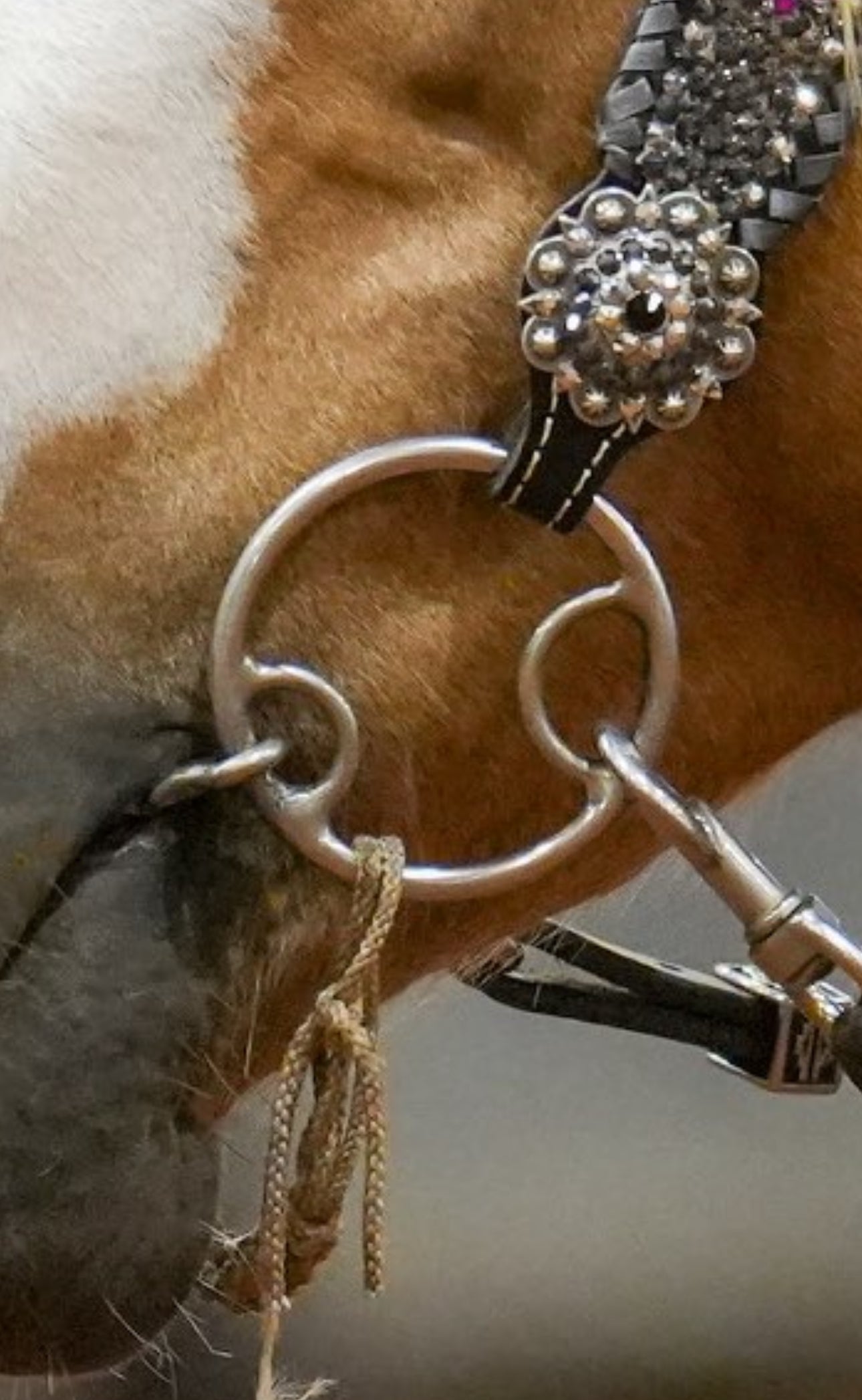 “Adios” locked O-Ring by L&W Bits- Limited Edition.