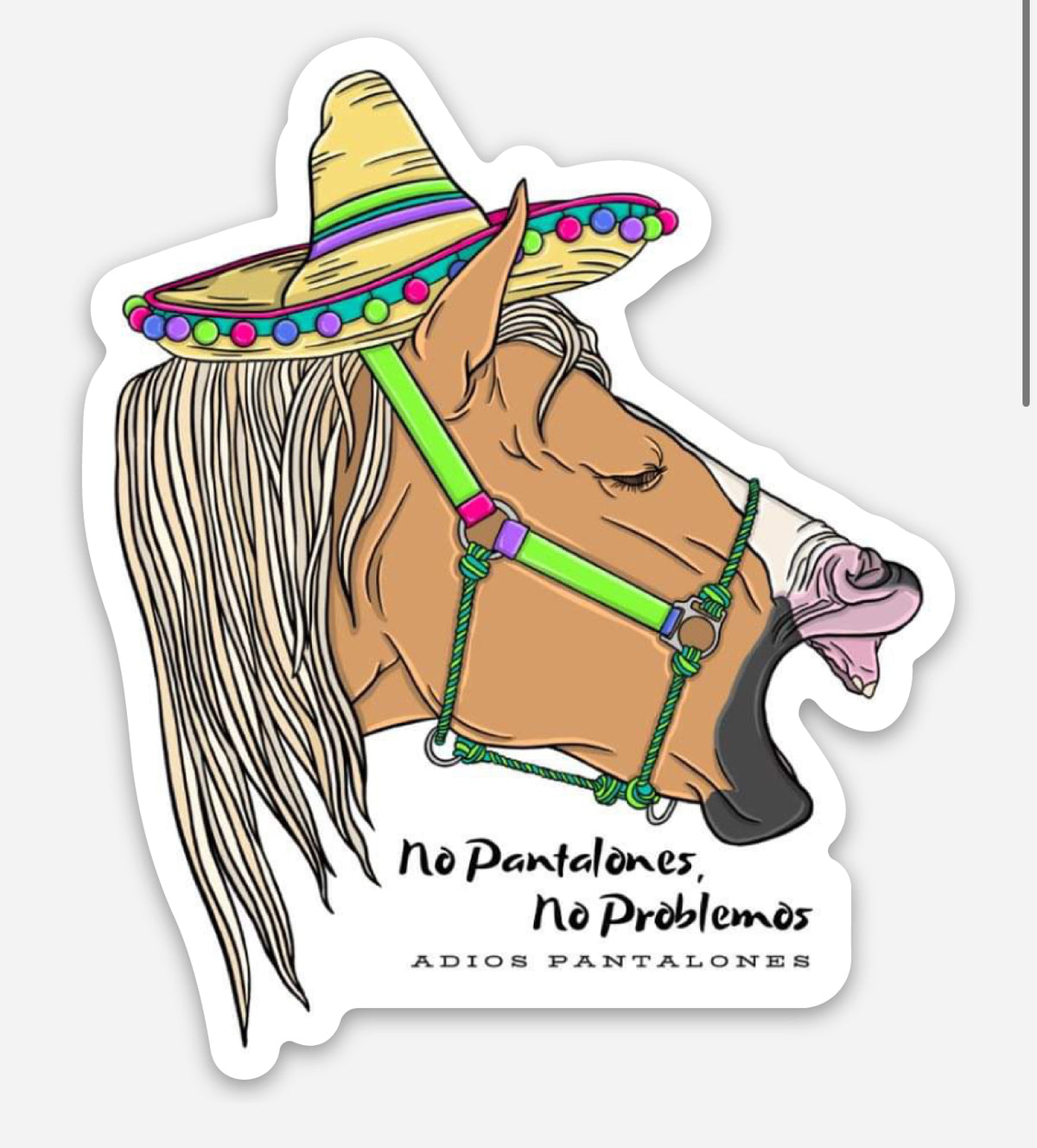 Adios Stickers Adios Pantalones Stickers